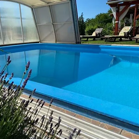 Kutvoelgy Vendeghaz Guest house