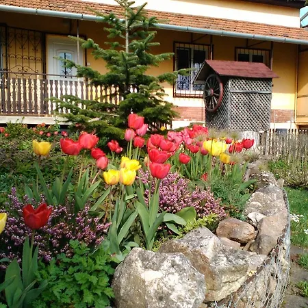 Kutvoelgy Vendeghaz Guest house
